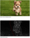 Example picture of a seam found by the algorithms