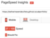 Picture of PageSpeed Insights giving results.