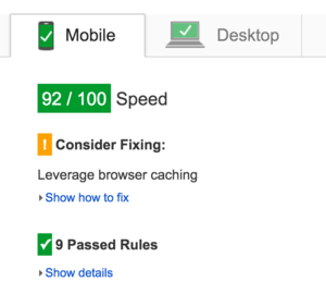 Picture of PageSpeed Insights giving good results.